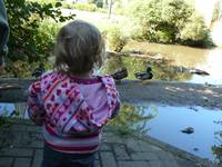 Wasser zieht Kinder magisch an – deshalb können Teiche zur Kinderfalle werden